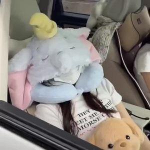 Cute Cartoon My Melody My Pompompurin Hoodie U Neck Pillow Travel Portable Airplane Pillow Cervical Pillow U Pillow