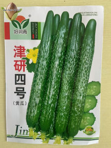 High Yield Long Cucumber Seeds (50 Seeds) Green Cucumber Seeds for Planting Vegetables Organic -A701