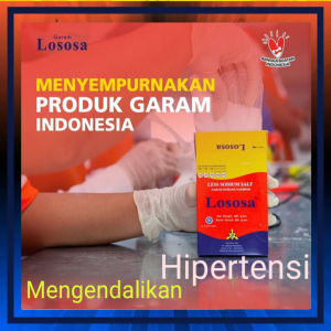 Garam Lososa 250gr Garam Kesehatan - Garam Rendah Natrium / Garam Rendah Sodium by CENTRAL CUAN