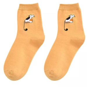 CH-FASHION 5 Pairs (CATS) Student Girl Summer Thin Breathable Korean College Style Deodorant Socks