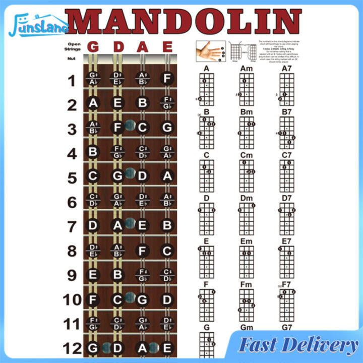 FunsLane Mandolin Fretboard Notes Chart Finger Placement Chords Theory ...