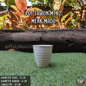 Pot Tawon Madu Tinggi 12 cm  | Pot Tanaman Hias | Tawon Tirus