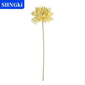 [COD] 🔥🔥🔥SHNGki Hoa đồng tiền trang trí hoa nhân tạo không phai hoa thực tế mô phỏng sắp xếp hoa đồng tiền trang trí nhà