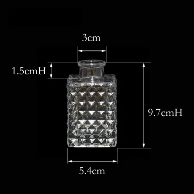 Small Bottle Glass Vase Jar for Home Decoration small vase glass Reed Diffuser Bottle