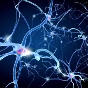 【Special Offer】 温和焕活 Alpha Lipoic Acid + B1 B6 B12 for Nerve Pain Tingling Relief