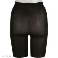 ATSUGI warm fake translucent tights thick 250 denier (Sizes M-LL)(A56TL1825)(Direct from Japan)1. 