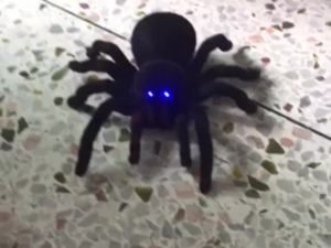 Spoof Remote Control Spider Simulation Spider Model Electric Crawling Tarantula Scary Screaming Boy Trick Toy