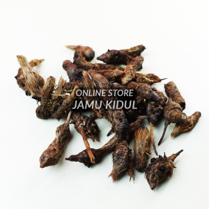 Umbi Rumput Teki 100gr Asli Kering Liar