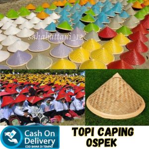 Caping petani polos diameter 38cm topi caping warna untuk ospek mahasiswa caping ospek warna