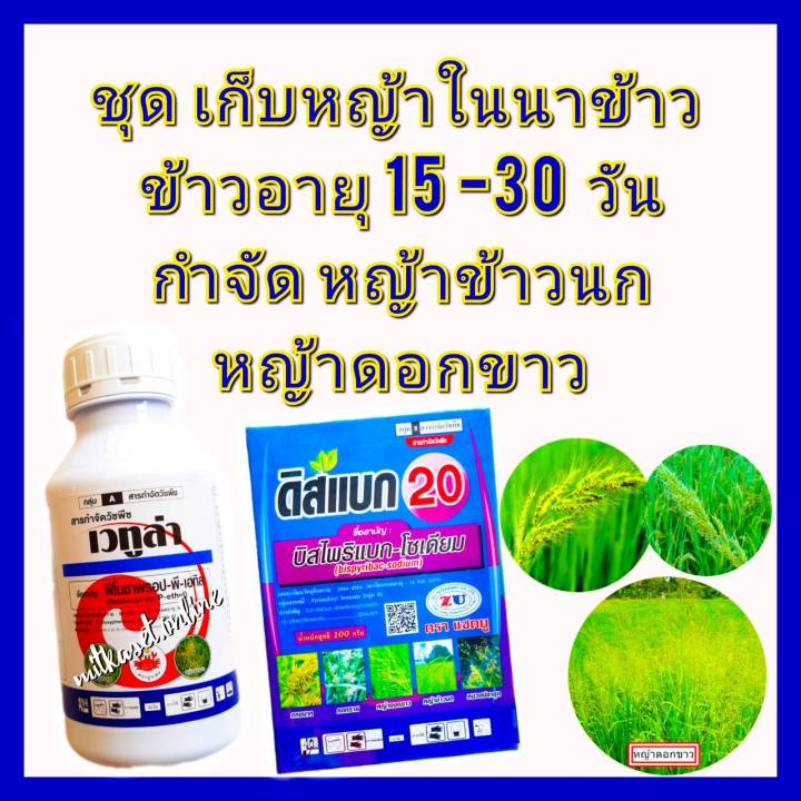 ชุดกำจัดหญ้าในนาข้าว เวทูล่า ฟีโนซาฟรอป บิสไพรีแบค