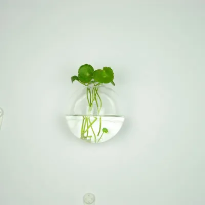 【Bestseller】 Hot Hanging glass vase glass terrarium vase for hydroponics garden