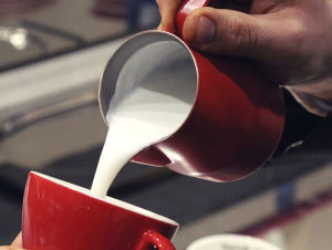 cà phê Hạt- cà phê máy- hạt cà phê Camardo- bean coffee