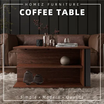 KitchenZ LAILA Series 2.6FT Coffee Table Open Storage - 2911-WN+GY