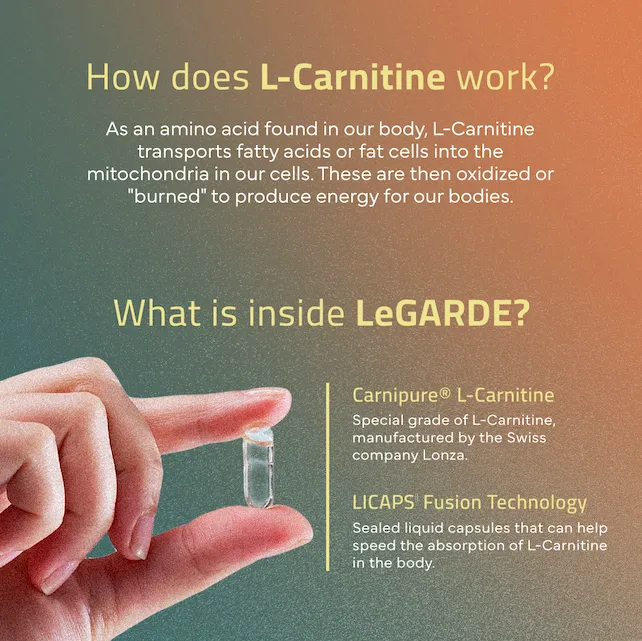 LeGARDE Carnipure L-Carnitine 500mg LICAPS Licaps Fusion Technology Fda  Registered Supplement High-Quality L-Carnitine Capsules Rapid Therapeutic  Effect - Lazada