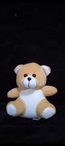 Boneka Bear Wisuda/ Boneka beruang min tinggi 15 cm TERLARIS