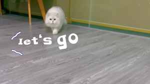 Mouse Toy for Pet Cats Self Teaser Electric Mouse Cats Indoor Hunting Activity Toy Swatting Mouse Cats Entertainment Toy