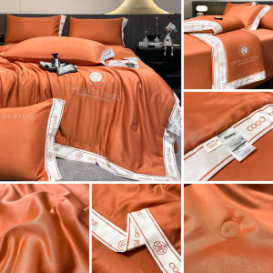 Premium Tencel 100% Ice Silk Hypersoft Bedsheet 4in1 Set King/Queen Cooling Satin Bedsheet without comforter 冰丝床单