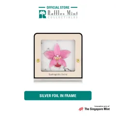 Vanda Miss Joaquim Orchid 24K Gold Foil Frame Medium Decorative
