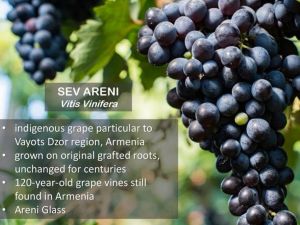 ZORAH KARASI 2017 NATURAL RED WINE FROM ARMENIA - GOURMET SPECIALTY WINE HALF CASE 6x 750ml - EXCELLENT MUST TRY