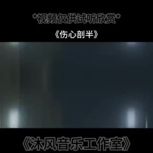 现货！热卖中【1003人收藏】2025最新歌曲带视频MV车载u盘车载无损音乐u盘汽车优盘完整版 車載音樂 u盤  車 usb 歌曲。。。