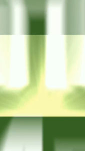 Alfalfa Chlorophyll Liquids 550ml drinKING