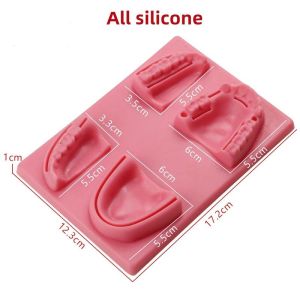 Dental Oral/Gingival Suture Simulation Silicone Periodontitis Suture Silicone Training Model Teaching Practice Tools