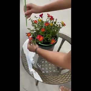 Adjustable Plant Support Ring Cage Trellis Vine Climbing Frame Gardening Tool Homeliving