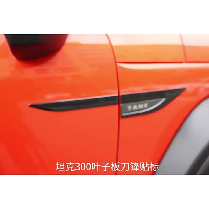 Great Wall WEY Tank 300 2022 2023 Rfit Leaf Panel Side Marker Blade Car