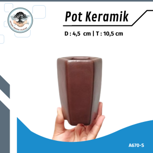 Pot Bonsai Keramik Segi Enam unik Kode A797