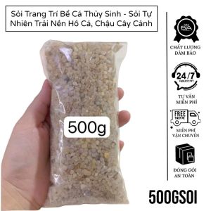 Set 4 Mô Hình Cây Rong Nhựa Thuỷ Sinh Có Sẵn Đế Trang Trí Hồ Cá Bể Cá Nhiều Mẫu Size 10 11cm
