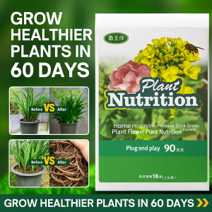 Home Plant Slow Release Stick for Year-round Family Gardens All Ages Gardening Enthusiasts Nourishing Stick to Stimulate Roots and Buds Revive Plant Vitality in 7 Days