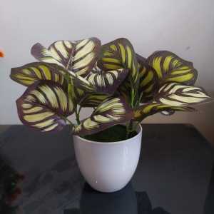 Bunga Plastik Hias Pajangan Tanaman Pot Dekorasi Pohon Bonsai Aglonema