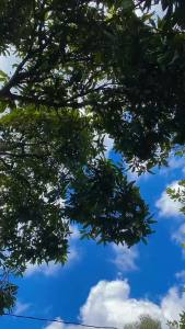 kaftan wanita terbaru 2022 kaftan isyana kaftan rinjani kaftan kondangan