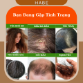 Dầu Gội Bưởi, dầu gội thảo dược chống rụng tóc kích mọc tóc, dưỡng tóc cùng Cổ Hương. 