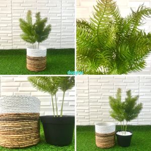 Tanaman Hias Daun Pinus Cemara Tangkai X4 Latex Artificial Cover Pot Seagrass Variasi Pajangan Dekorasi Ruangan