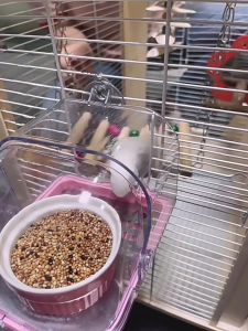 Pet Bird Bath Tub Bath House Parrot Bathtub with Bottom Drawer for Budgies Cockatiels Lovebirds Bathing Supply