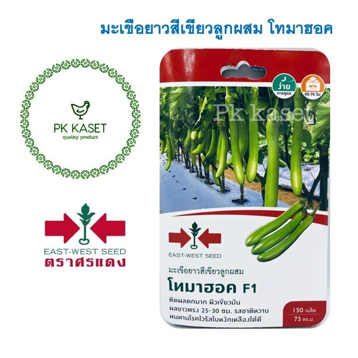 เมล็ดมะเขือยาวสีเขียวลูกผสม โทมาฮอค F1 ตราศรแดง