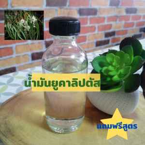 น้ํามันยูคาลิปตัสแท้ เกรด A ขนาด 50 ml. แถมฟรีสูตรทํา พิมเสนน้ํา และอื่นๆ