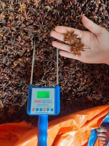 Hoa hồi khô (gói 200g) gia vị nhà bếp gia vị nấu bò kho nấu phở cá kho đặc sản tây bắc