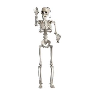 YOUSHI TOP Highly flexible Parties accessories Biology teaching Ornaments Skeleton model Halloween props Human Bones Car Rearview mirror pendant