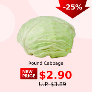 Round Cabbage