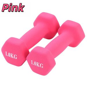 1/2KG Cast Iron Dumbbell nti-Slip Anti-roll Hex Shape Weights Dumbbells