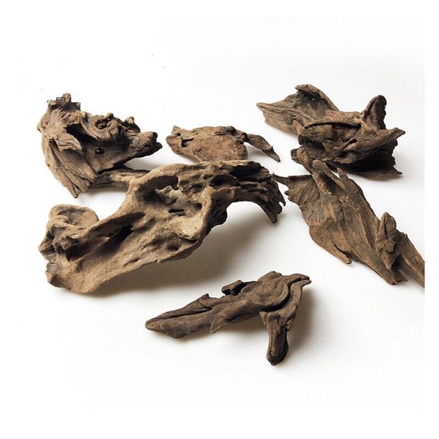 C%C3%A0nh%20g%E1%BB%97%20l%C5%A9a%20kh%C3%B4%20trang%20tr%C3%AD%20b%E1%BB%83%20c%C3%A1%20th%E1%BB%A7y%20sinh,%20bonsai,%20ti%E1%BB%83u%20c%E1%BA%A3nh,%20gh%C3%A9p%20lan%20-%20Image%205