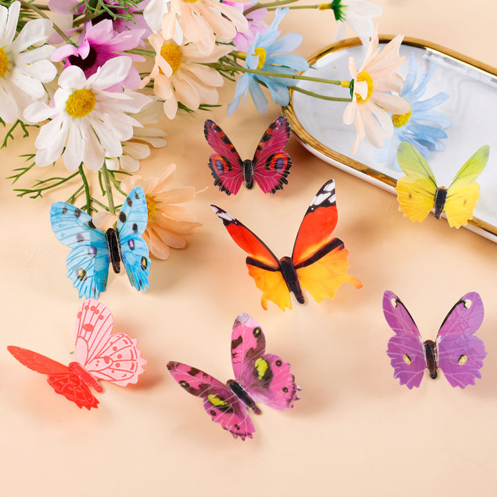Butterfly 🦋