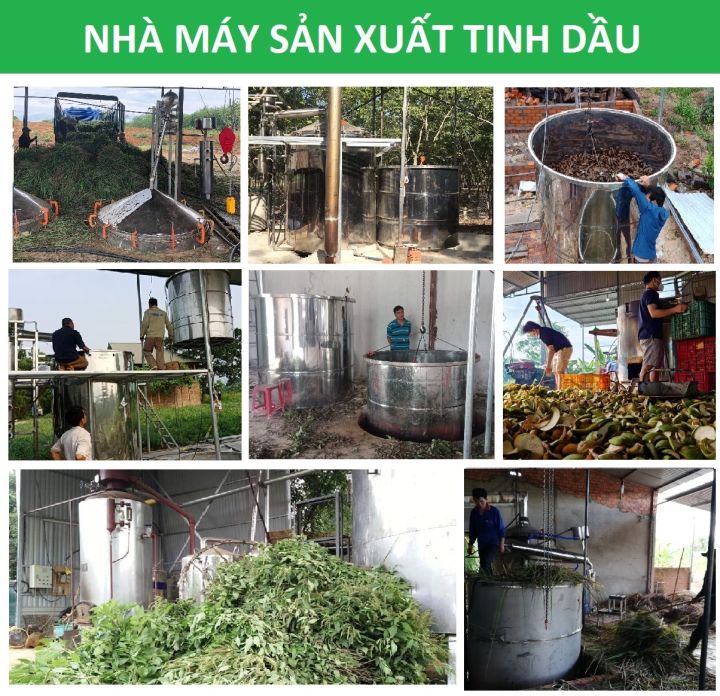 Tinh%20d%E1%BA%A7u%20C%C3%A0%20Ph%C3%AA%20Vi%E1%BB%87t%20(coffee,%20cafe)%20Th%E1%BA%A3o%20M%E1%BB%99c%20nguy%C3%AAn%20ch%E1%BA%A5t%20t%E1%BB%AB%20thi%C3%AAn%20nhi%C3%AAn,%20th%C6%A1m%20ph%C3%B2ng,%20x%C3%B4ng%20ph%C3%B2ng,%20th%C6%B0%20gi%E1%BA%A3n,%20%C4%91%E1%BA%A1t%20chu%E1%BA%A9n%20ch%E1%BA%A5t%20l%C6%B0%E1%BB%A3ng%20ki%E1%BB%83m%20%C4%91%E1%BB%8Bnh%20-%20Image%206