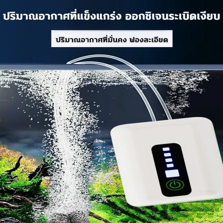 ปั๊มออกซิเจนภาพที่ 4