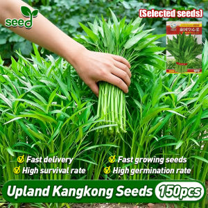 High Yield Willow Leaves Water Spinach Seeds (Fast Growing 150pcs) Upland Kangkong Seeds for Planting Original Chinese Kangkong Plant Veggie Seeds Bonsai Vegetable Seeds for Gardening Balcony Indoor Potted Live Vegetable Plants Seedlings Buto Ng Bulaklak