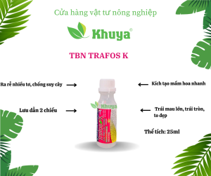 Phân bón lá Trafos K 25ml Cứu tinh cây trồng và tạo mầm