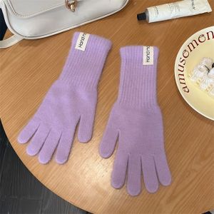 COSE Faux Fur Flannel Gloves Touch-screen Warm Winter Women Gloves Casual Soft Long Rabbit Fur Gloves Daily Use