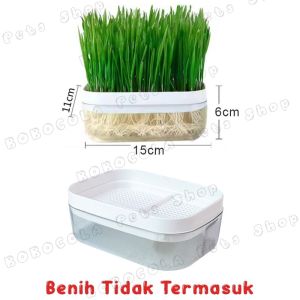 Rumput Kucing Tanpa Tanah Cat Grass Pot WheatGrass Benih Gandum Kucing